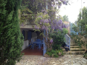 Maison du cèdre